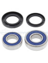 KIT RODAMIENTOS RUEDA ALL BALLS 25-1252 YAMAHA WR250-400 YZ250-400