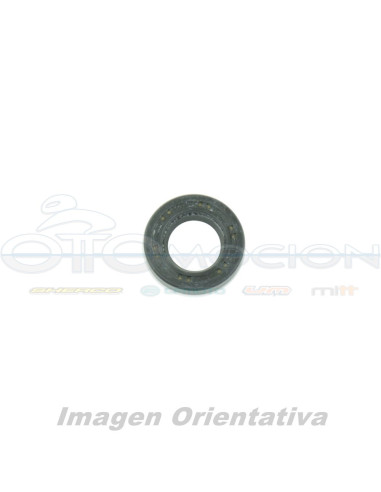 RETEN  CON GOMA EXTERIOR 17,5X31X7 MM IN PTFE CON ONE TEFLON SEAL-LIP CON SPRING