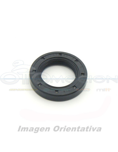 RETEN  CON GOMA EXTERIOR 25X40X7 MM IN PTFE CON ONE TEFLON SEAL-LIP, ONE DUST LIP CON SPRI