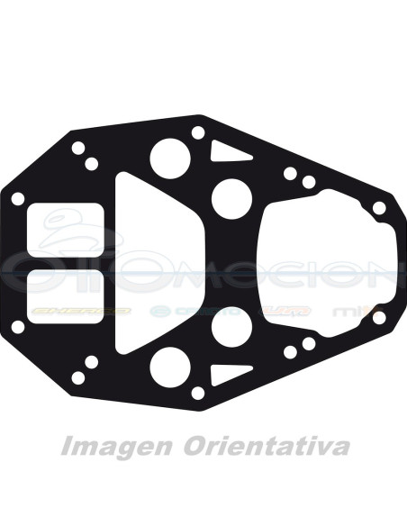 JUNTA DE BASE CILINDRO CON ESPESOR  SAME AS OE