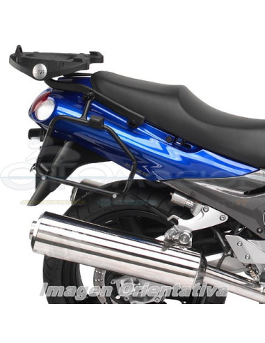 MONORACK P-M5-M11-M5M-M6M KAWASAKI ZZR 1200 02 05