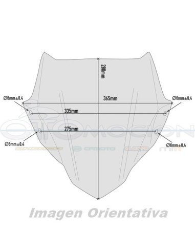 CUPULA C-KITA BMW GR 310 17