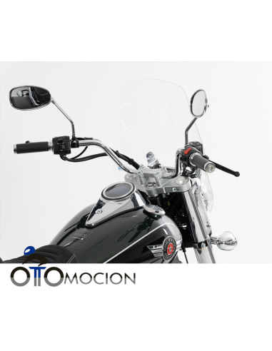 RENEGADE CLASSIC 125